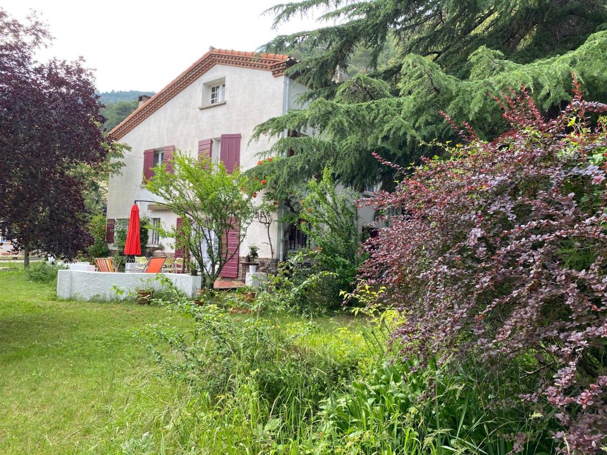 Villa Riviera Chambres Privees Amélie-les-Bains-Palalda Exterior photo